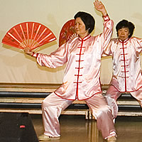 Chinese Tai Chi Fan Dance