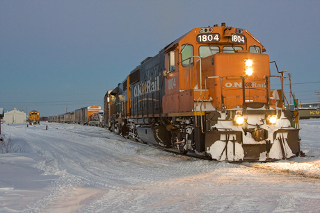 WIKI_polar _bear _express _moosonee