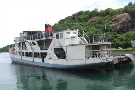 Chauncy _maples _laid _up _2010