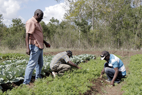 ENS_Haiti _St _Barnabas _02