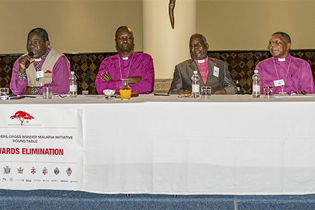 Isdell -flowers -malaria -round -table -Zimbabwe -Feb 2018_460x 307